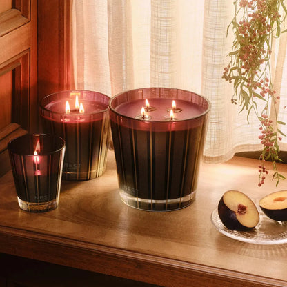 Nest 8.1oz  Autumn Plum Candle