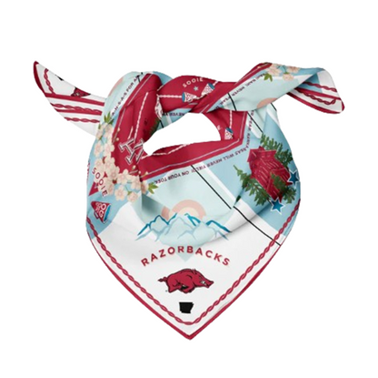 Arkansas Saturday Scarf