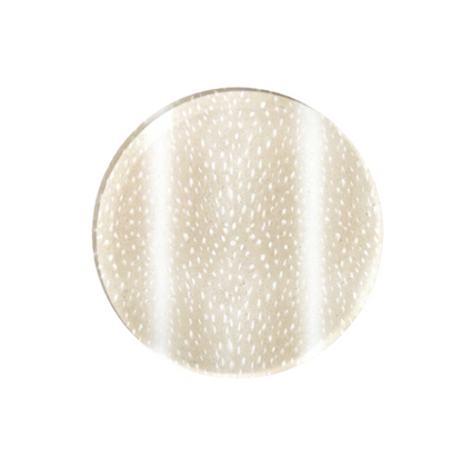 Fawn Print Boxed Acrylic Coasters