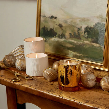 Frasier Fir 6.5 oz Gilded Gold Candle