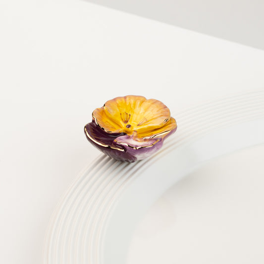 Pansy Pop Mini